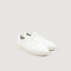 Homem Sandro Paris Tenis De Couro De Curtume Certificado